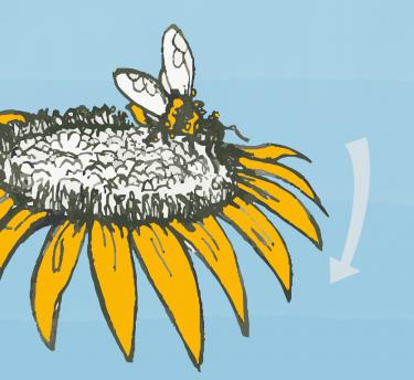 Illustration of bee on a flower